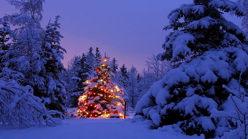 4 Christmas Scenery, christmas in winter HD wallpaper | Pxfuel