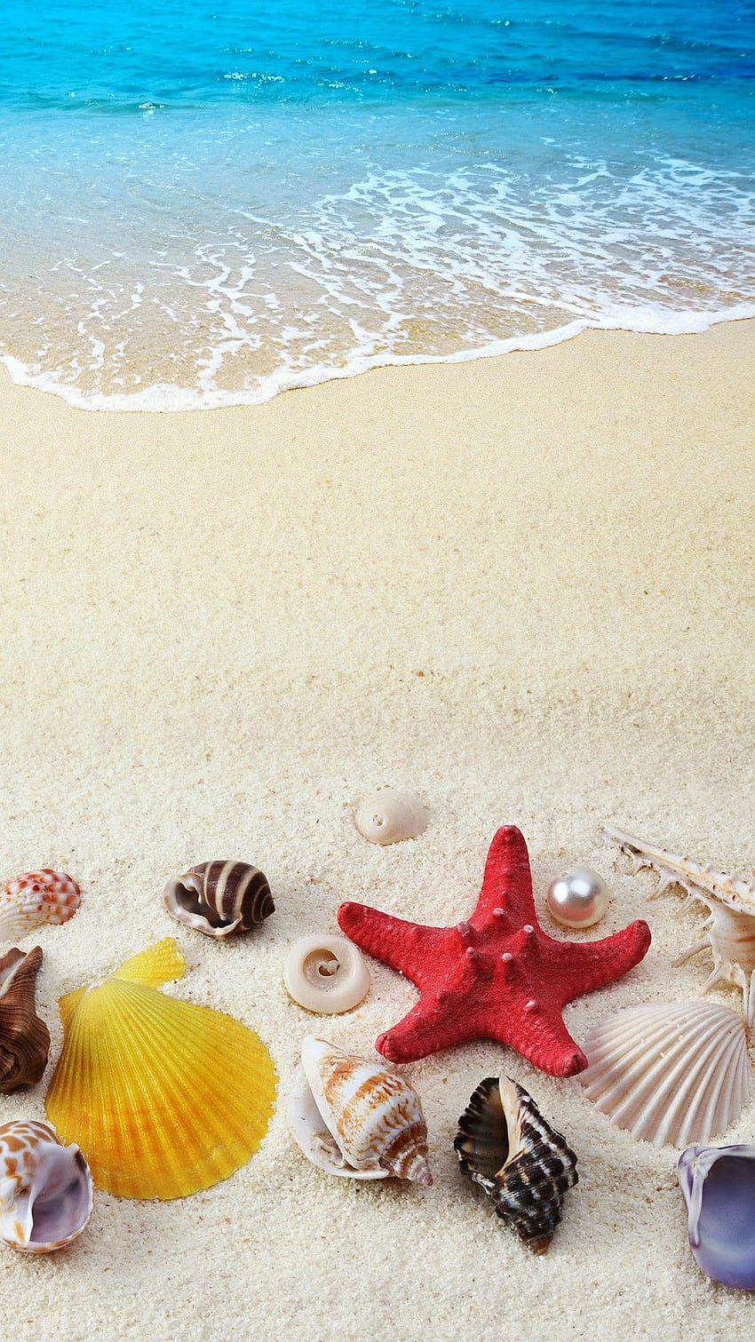 Joyce Hermosillo auf / Decoupage/Urlaub, Handy Meer und Muscheln HD-Handy-Hintergrundbild