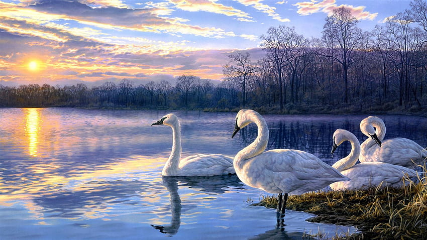Art painting swan lake sunset landscape 2560x1440 HD wallpaper