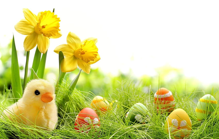 grass, flowers, eggs, spring, colorful, Easter, grass, flowers, daffodils, spring, painted, eggs, easter, daffodils, springer, chik , section праздники, easter and spring HD wallpaper
