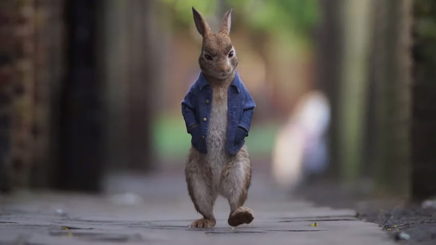 Il primo trailer di PETER RABBIT 2: THE RUNAWAY presenta vecchi trucchi e nuovi guai, peter rabbit 2 the runaway Sfondo HD