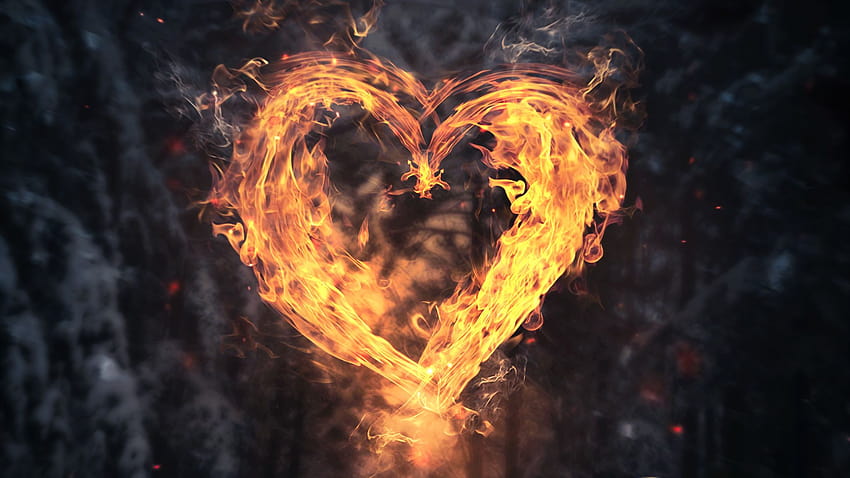 Burning Heart, Love, Backgrounds, and HD wallpaper