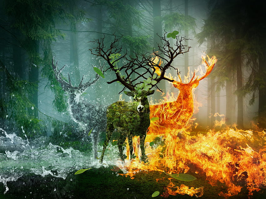deer, Fire, Water, Horns, Earth, Fantasy, Animals, fire animals HD wallpaper