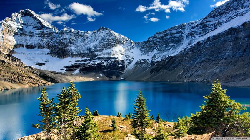 Lake O'hara Yoho National Park British Columbia,Canada, canada 2560x1440 HD wallpaper