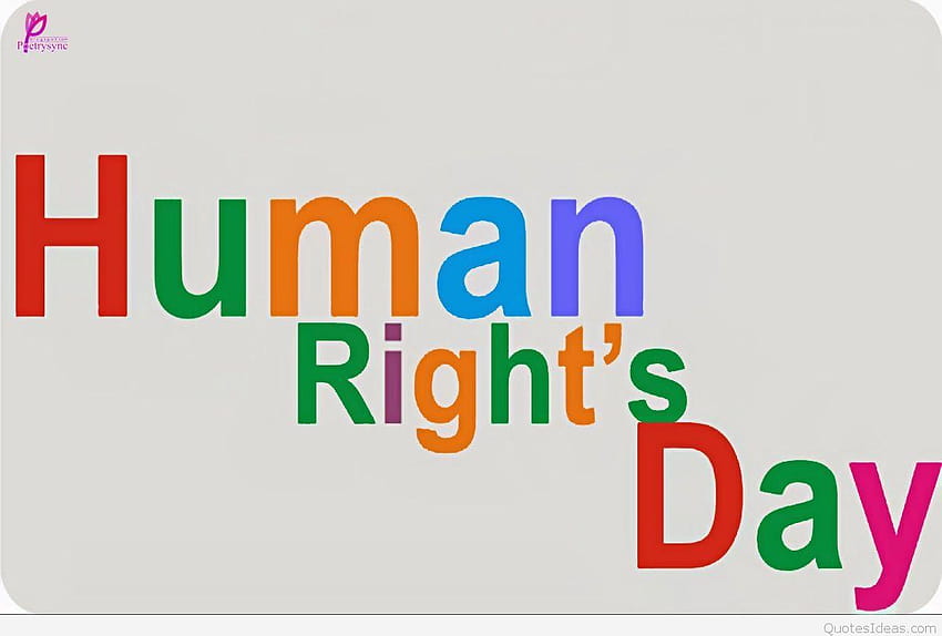 30 Tag der Menschenrechte Wünsch And HD-Hintergrundbild