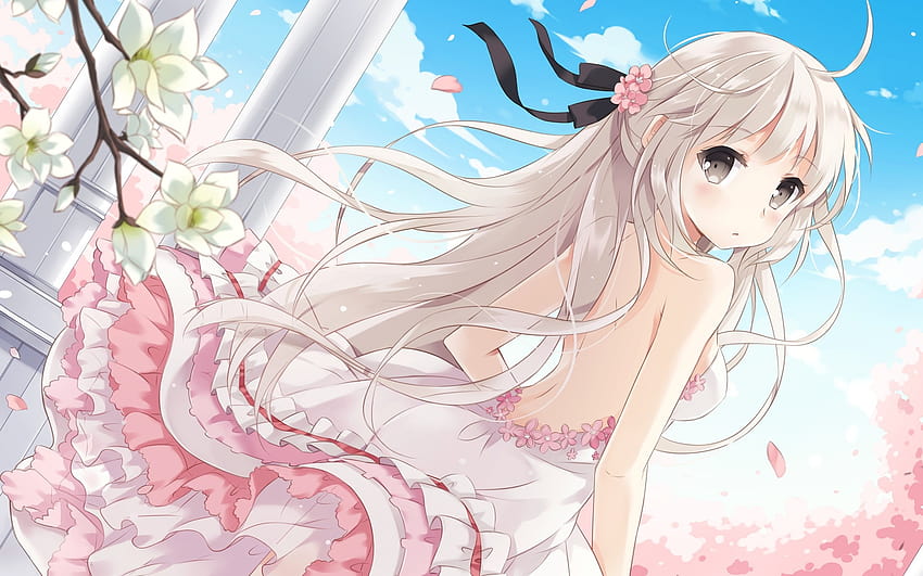 kiraz çiçekleri elbise çiçekler uzun saç yosuga no sora gri gözler beyaz saç kasugano sora anime kız – Nature Flowers, anime grey eyes HD duvar kağıdı