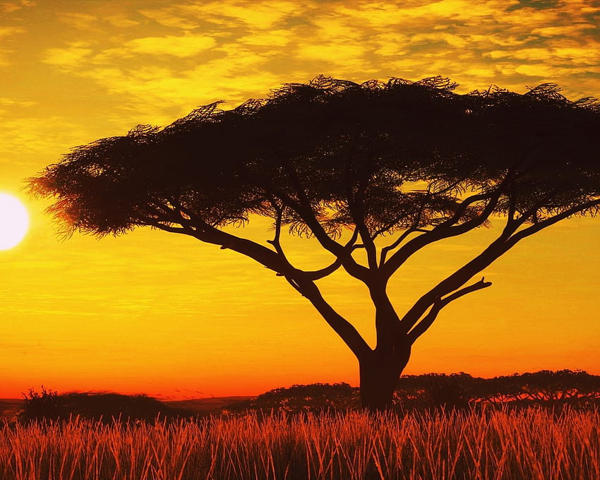 1280x1024 Serengeti Sunset 1280x1024 Resolusi, Latar Belakang, dan Wallpaper HD