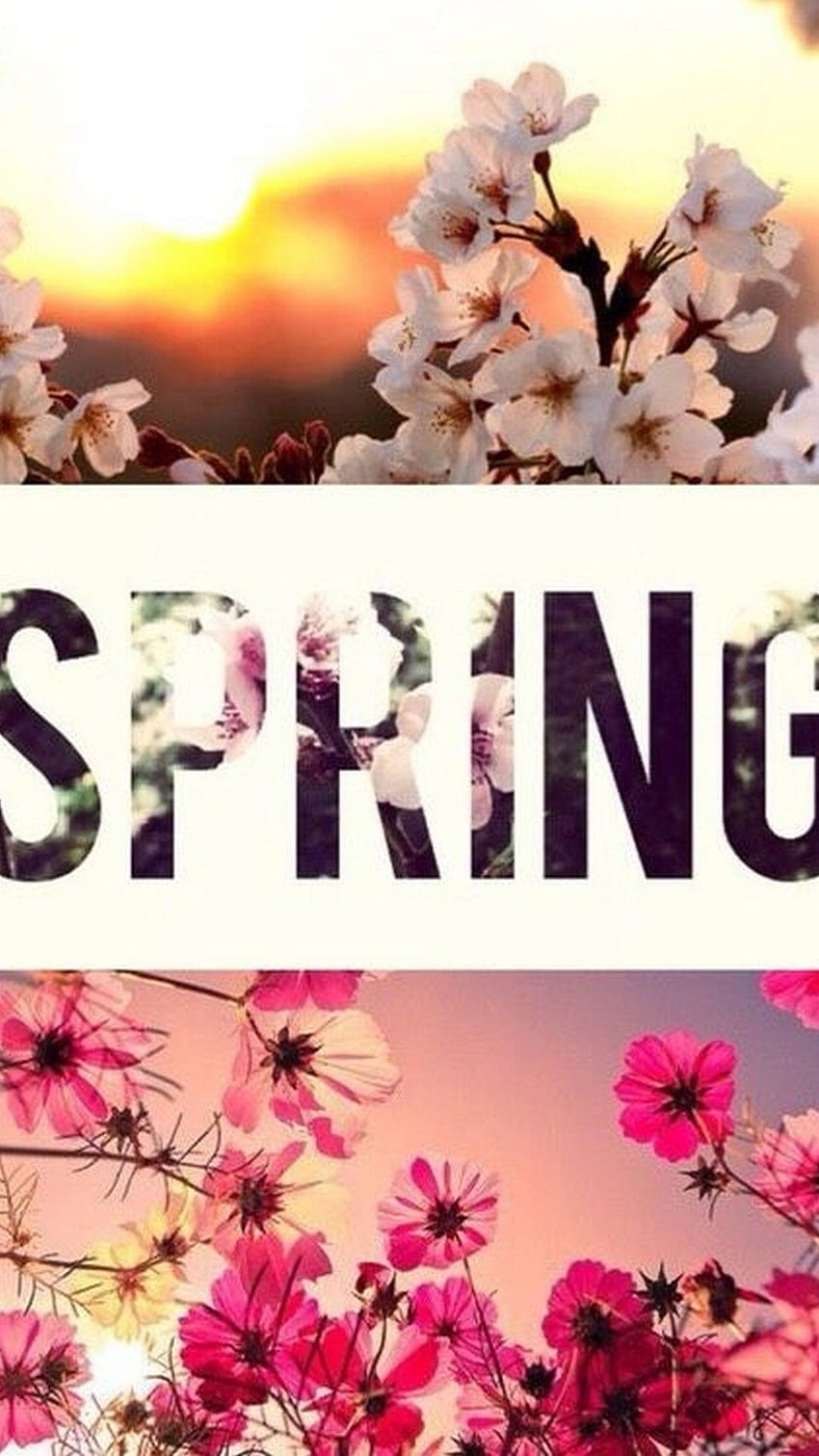 Hello Spring Android hello spring pink HD phone wallpaper  Pxfuel