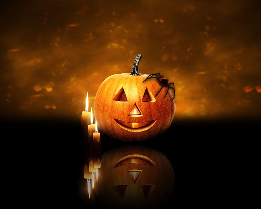 Great halloween to decorate your computer, halloween tinkerbell and pumpkin HD wallpaper
