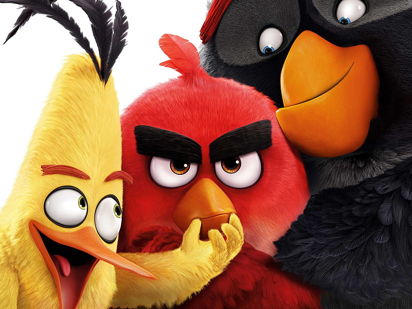 Angry Birds 2016 movie, angry birds movie HD wallpaper