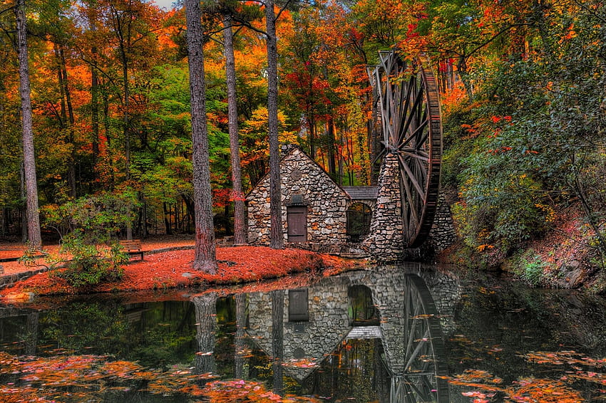 Autumn trees mill walk park alley water mill forest leaves reflection h, autumn trees water HD wallpaper