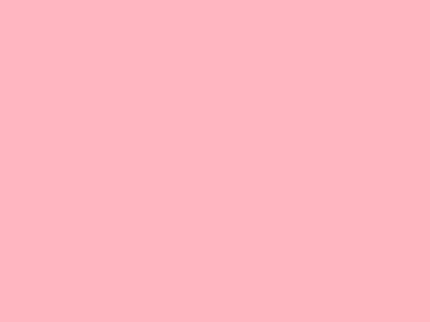 Latar Belakang Warna Solid Merah Muda Muda, latar belakang polos merah muda Wallpaper HD
