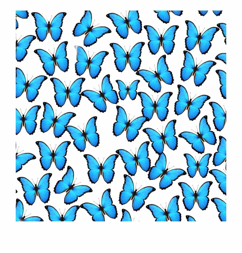 Blue Butterfly Emoji Iphone Edits Overlays Made Alot Fond d'écran de téléphone HD