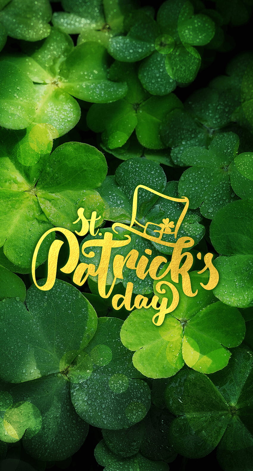Happy St Patricks day Irish Shamrock St Patricks clover coin gold  holiday HD phone wallpaper  Peakpx