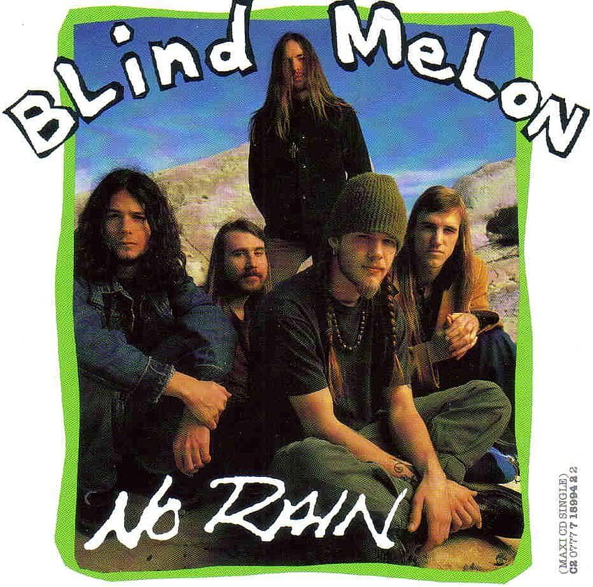 Blind Melon ,Blind Melon Band And, shannon hoon HD wallpaper