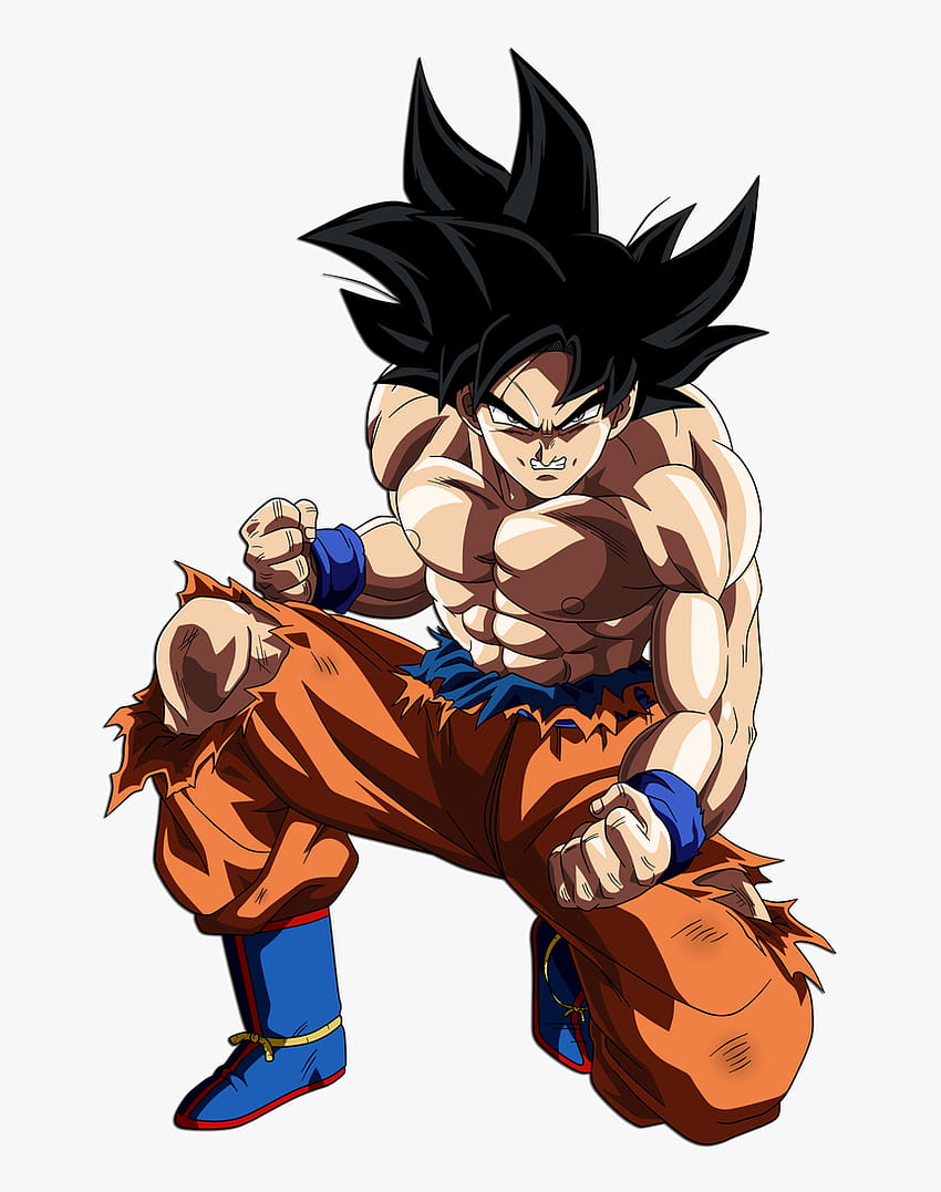 Goku Ultra Instinct Full Body, Png ...pngitem Tapeta na telefon HD
