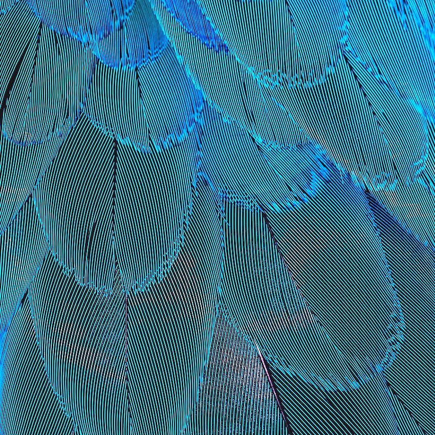 Aquarius Fashion, aquarius colors HD phone wallpaper | Pxfuel