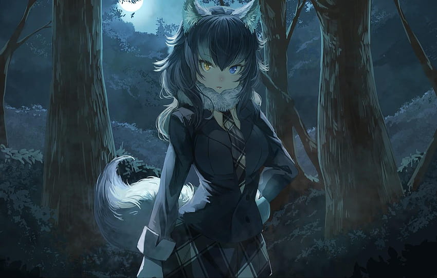 オオカミのアニメの女の子、狼少女 高画質の壁紙