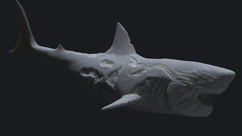 STL file Zombie Shark • 3D printer model ・ Cults HD wallpaper