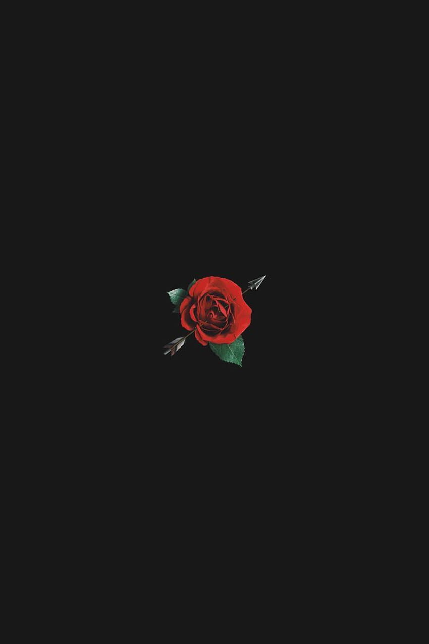 rojo Instagram AVER Music, amoled flores negras fondo de pantalla del teléfono