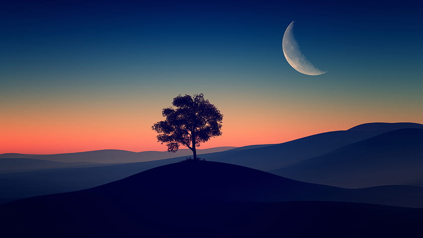 Tree Alone Dark Evening, pc sendirian Wallpaper HD