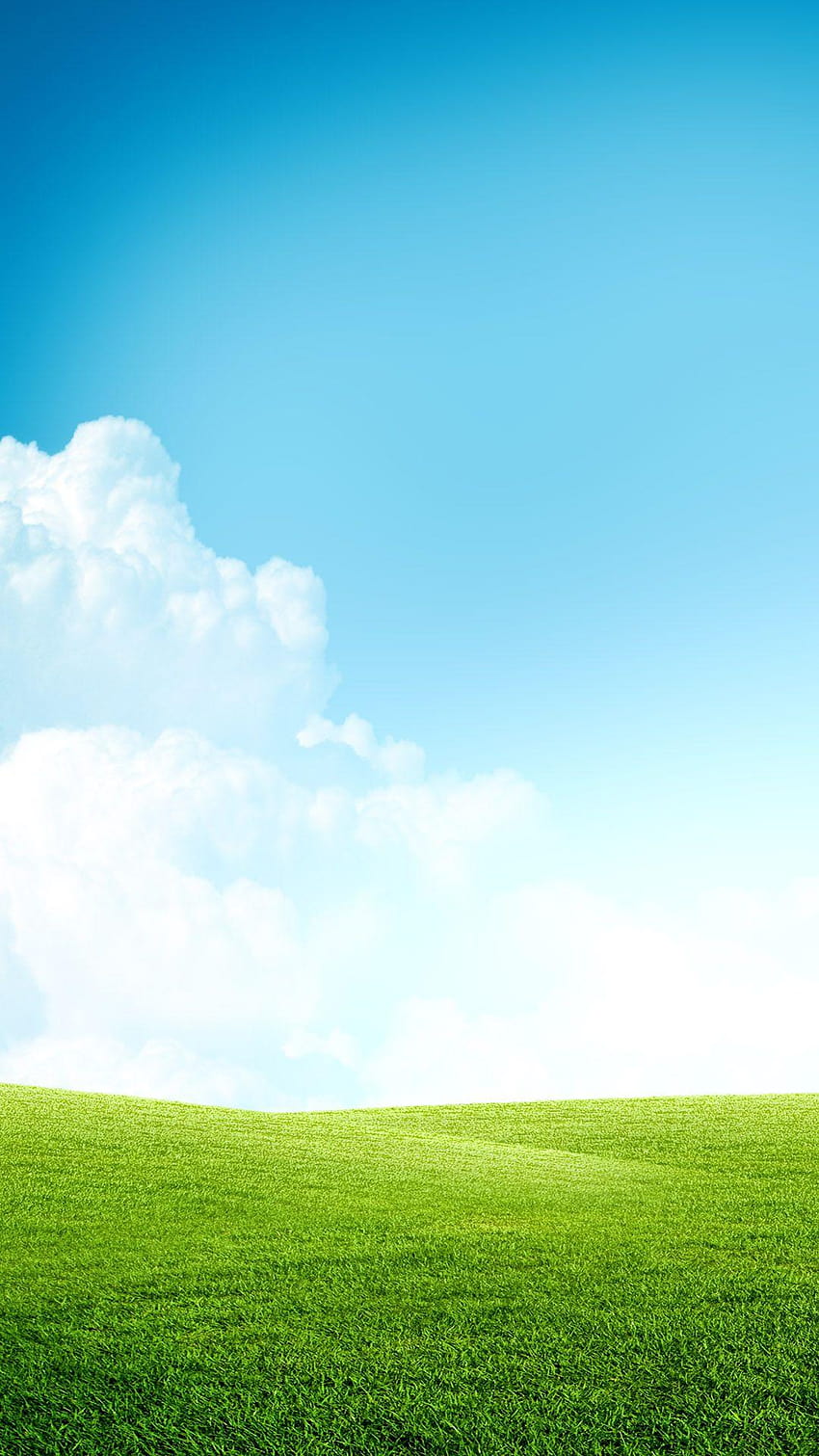 Trawa Pole Błękitne niebo Chmury Android Tapeta na telefon HD