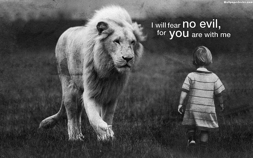 Lion With Quotes, angry quotes HD wallpaper