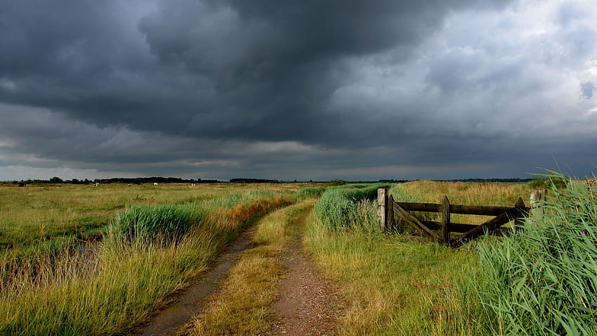 3840x2160 road, field, country, gate, pasture, cloudy, clouds, sky, gloomy HD wallpaper