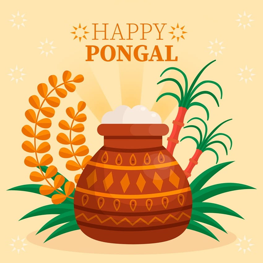 Pongal festival HD phone wallpaper