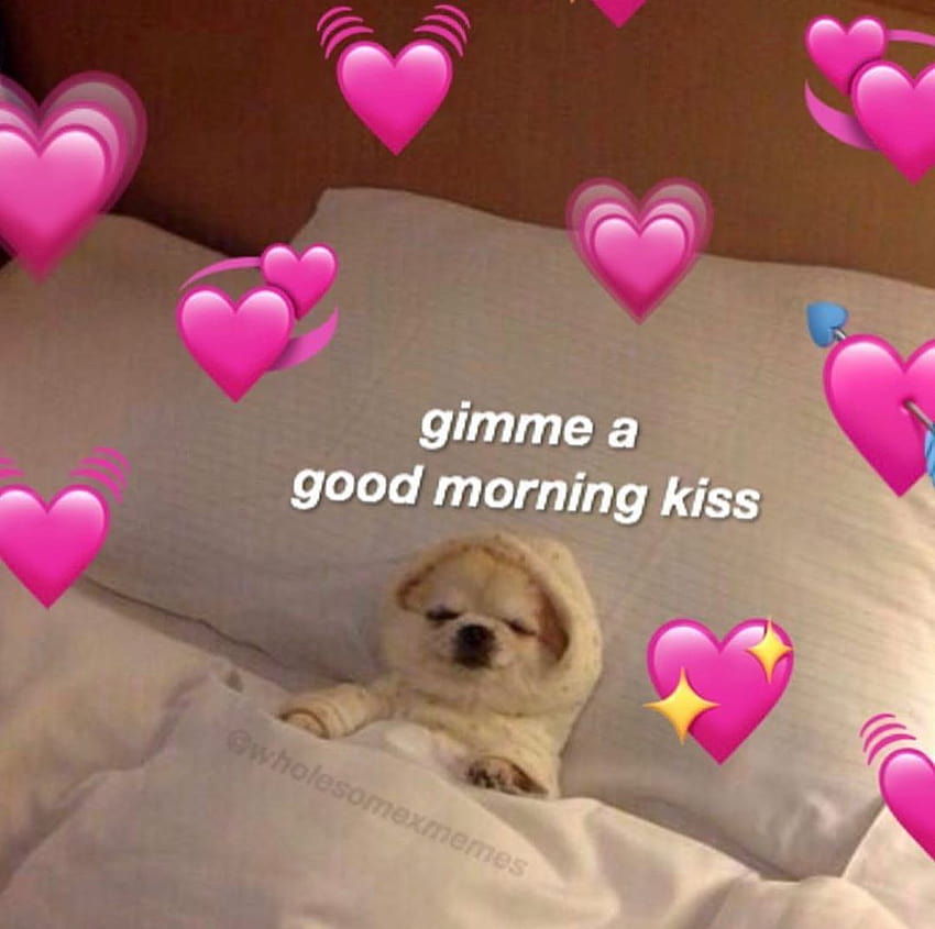 Gimme kith, wholesome memes HD wallpaper