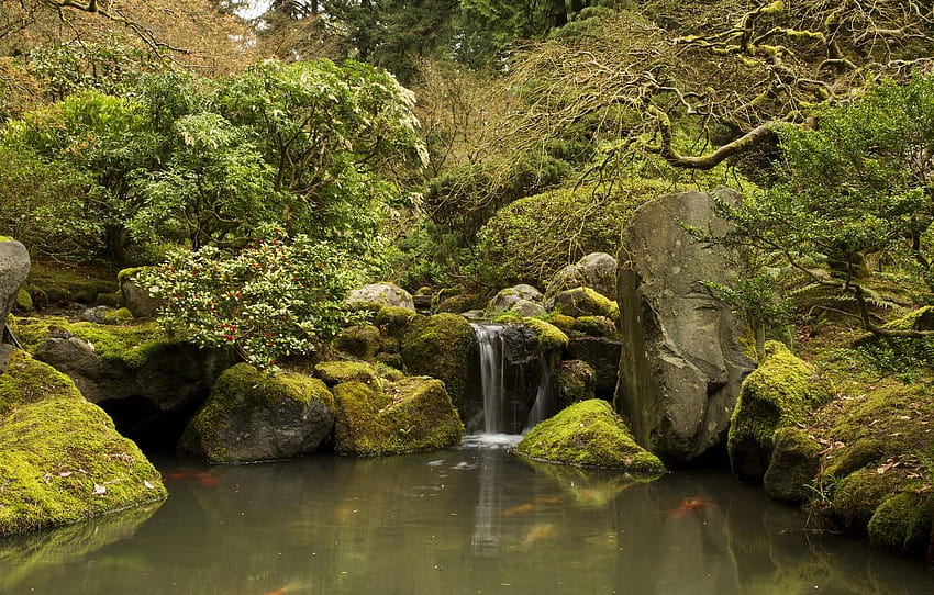 Page 2 | pond and waterfall HD wallpapers | Pxfuel
