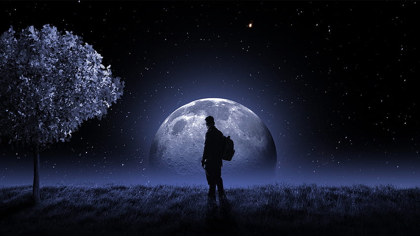 Full moon , Night sky, Stars, Moon light, Tree, Man, Surreal, Fantasy HD wallpaper