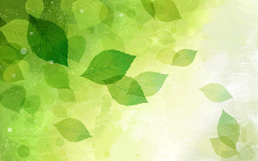 Cute Green, herbal HD wallpaper | Pxfuel