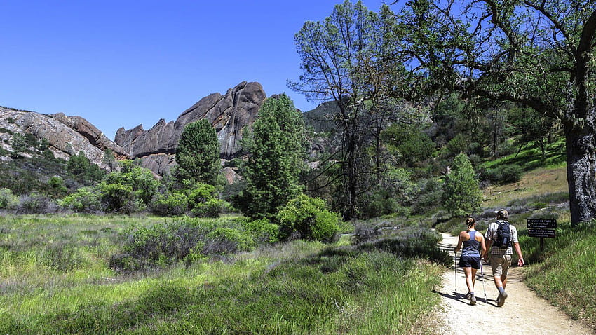 Pinnacles · National Parks Conservation Association, pinnacles national park HD wallpaper