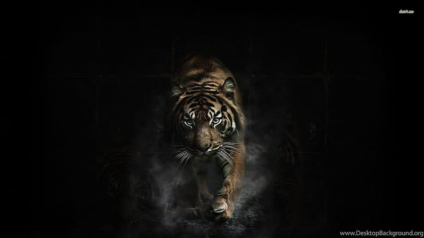 Tiger In The Shadows Digital Art Backgrounds, tiger art HD wallpaper