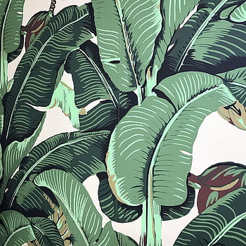 Martinique Inspired Seamless Banana Leaf Pattern Wallpaper Stock  Illustration  Download Image Now  iStock