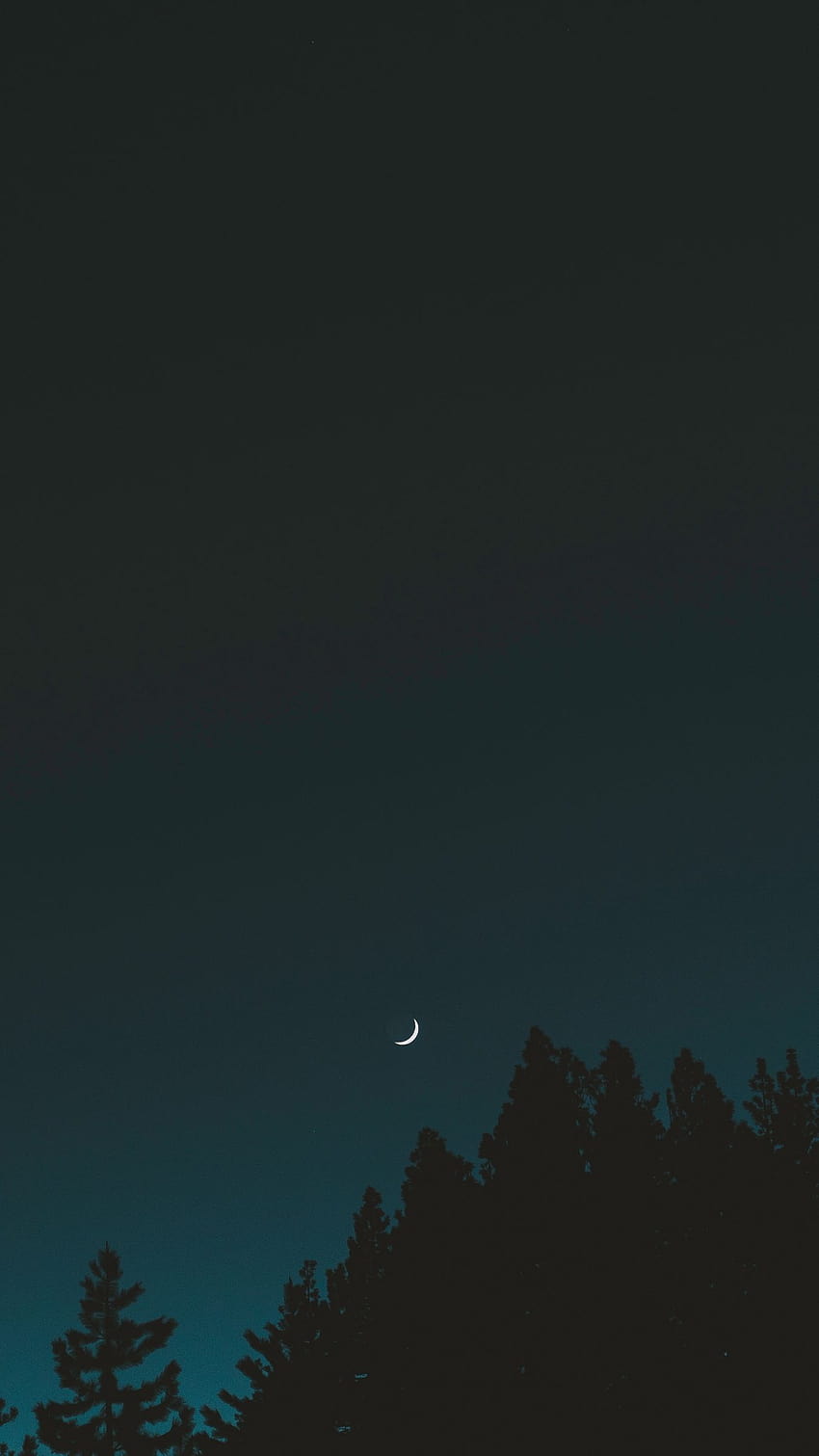 1350x2400 moon, sky, night, trees, crescent, iphone crescent moon HD phone wallpaper
