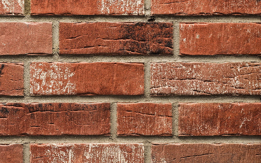 brown brick wall, brick texture, cement joints, masonry, brown bricks, stone texture, brick backgrounds with resolution 2560x1600. High Quality HD wallpaper