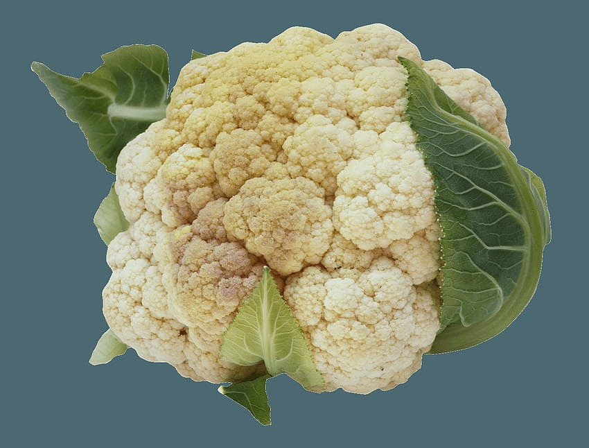 Cauliflower PNG HD wallpaper