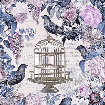 Vintage Birds And Birdcages Collection. Pattern. Wallpaper. Royalty Free  SVG, Cliparts, Vectors, and Stock Illustration. Image 10826640.