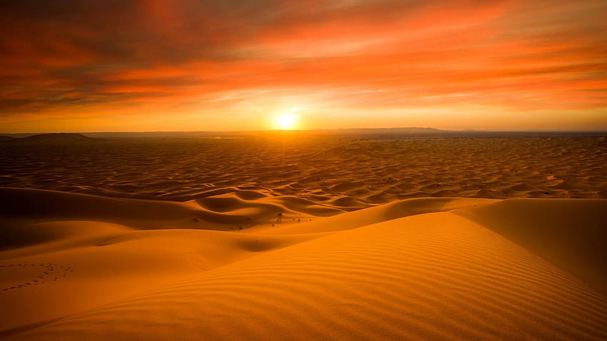 사하라 사막, 모래 언덕, 일몰, 글래미스 모래 언덕 HD 월페이퍼