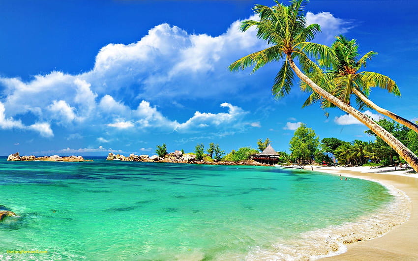Playa Naturaleza Playas Lujo Elegante Hermosa playa, hermosa naturaleza playa fondo de pantalla