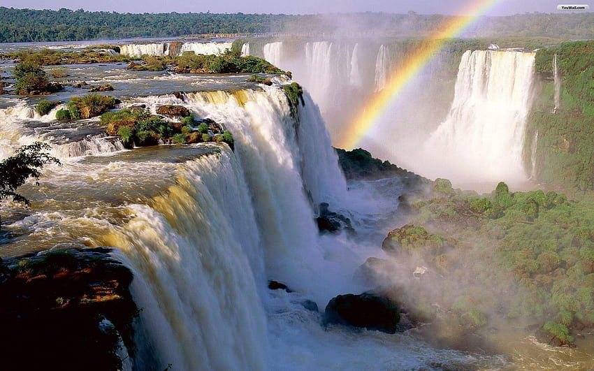 Waterfalls with Rainbow, rainbow rainforest HD wallpaper