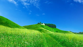 Rolling green hills background HD wallpapers | Pxfuel