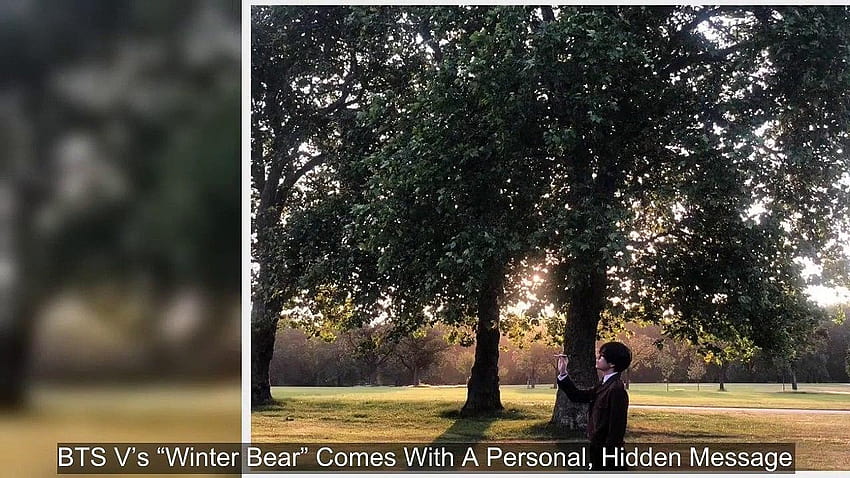 BTS V’s “Winter Bear” Comes With A Personal, Hidden Message, bts v winter bear HD wallpaper