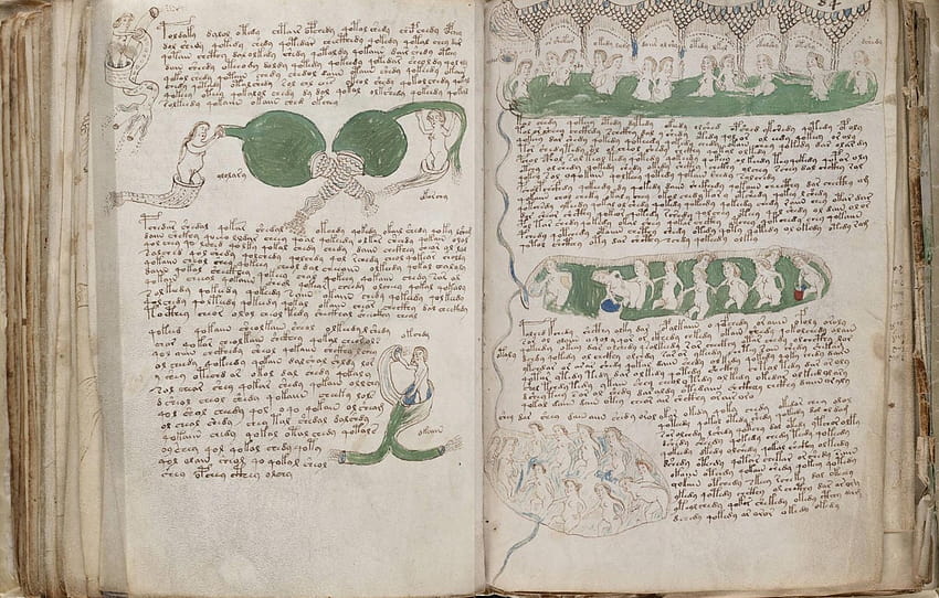 Book, Voynich, The manuscript, The Voynich Manuscript, Manuscript, Voynich , section разное HD wallpaper