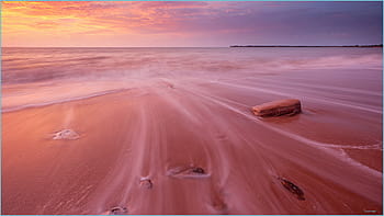 The Mesmerizing Pink Sand Beaches of Bermuda