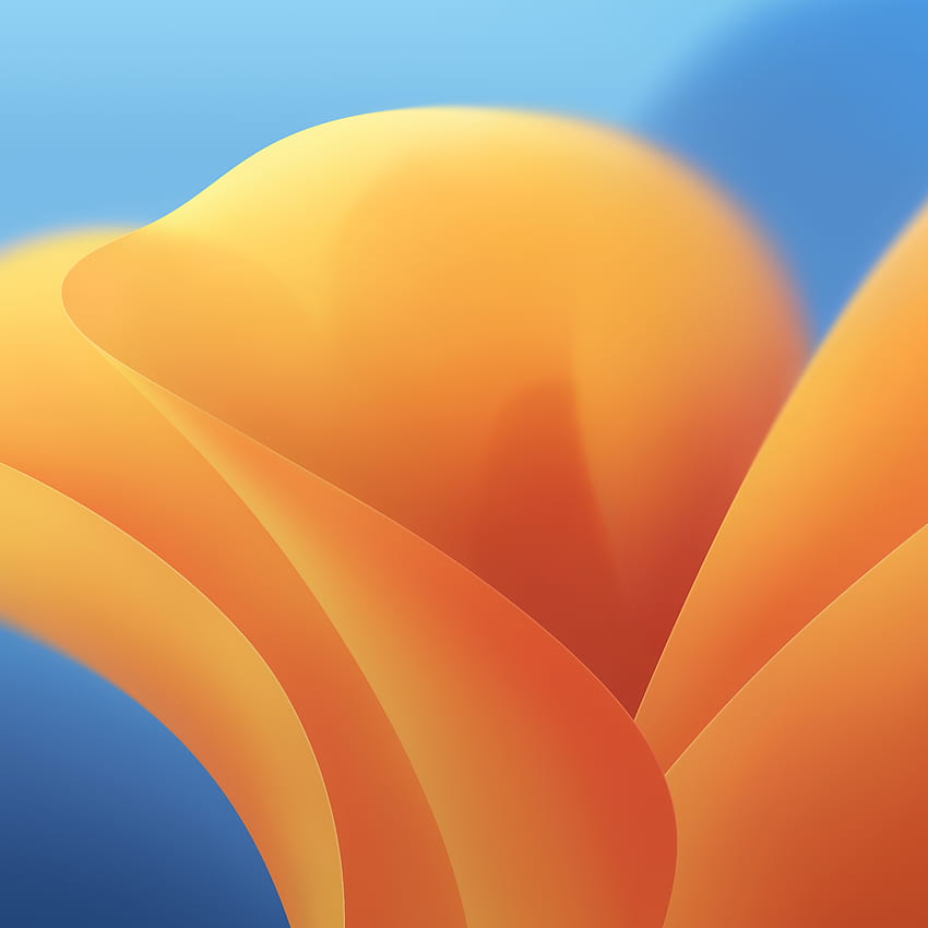 the new macOS 13 Ventura, macos ventura HD phone wallpaper