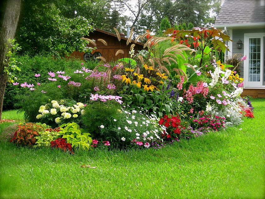 Цветна градина в задния двор, фонове HD тапет