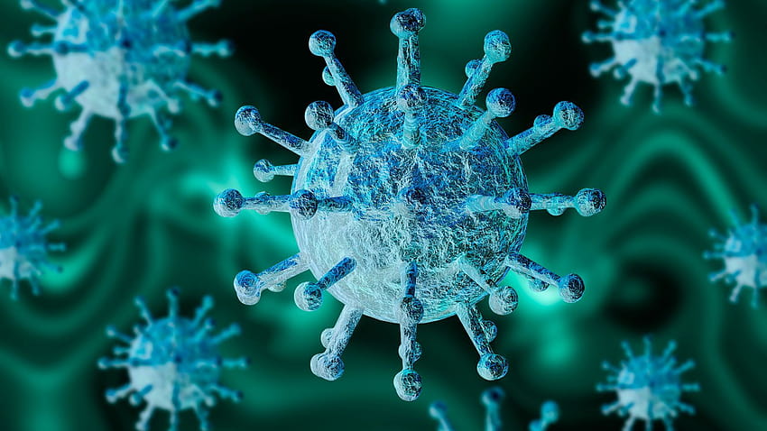 Coronavirus: Patients most infectious in first week of symptoms, covid 19 HD wallpaper
